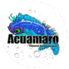 Fabricación de acuarios personalizados