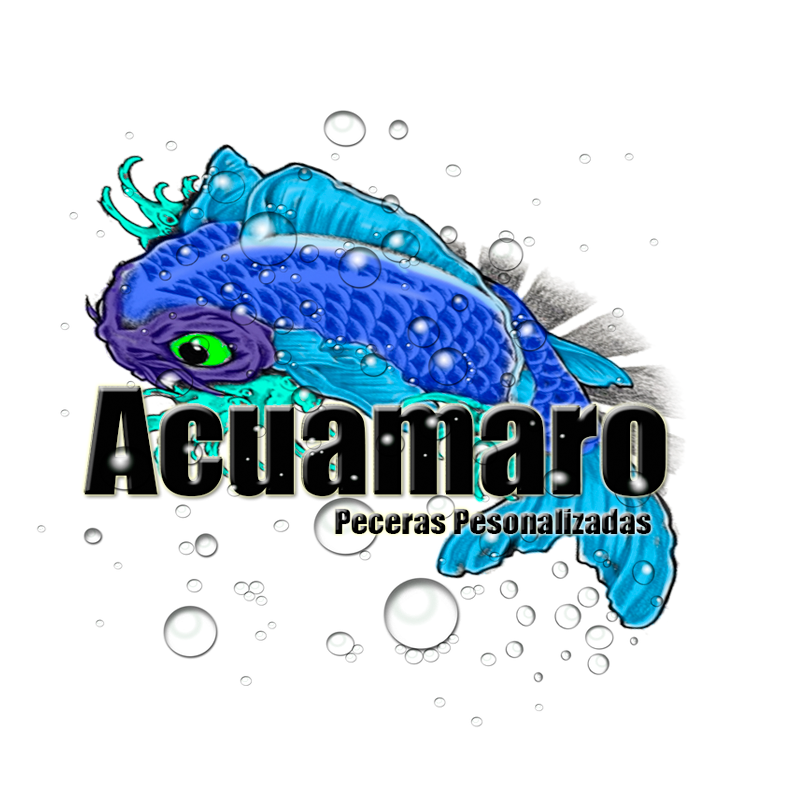 Fabricación de acuarios personalizados