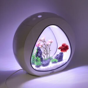 Acuarios Peceras - Hecho de material acrílico, transparente y duradero. También es un hermoso paisaje en tu hogar, tienda y así sucesivamente. Incorpora filtro y sistema de iluminación LED. Puede ser conducido por alimentación USB con la batería de su ordenador.El paquete incluye: 1 mini acuario con filtro integrado y luz LED, 1 adaptador USB para uso local.